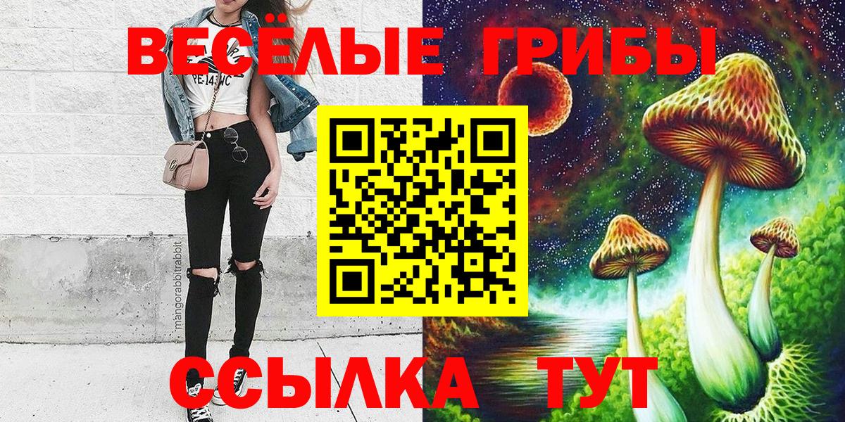 Псилоцибиновые грибы GOLDEN TEACHER Ленинск-Кузнецкий