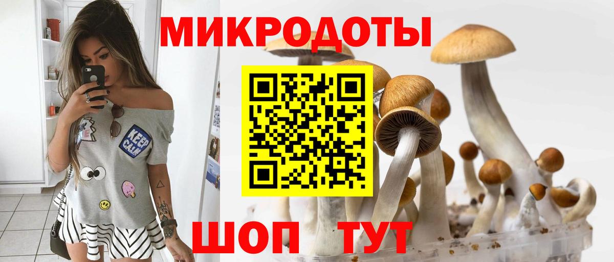 Галлюциногенные грибы Magic Shrooms  Вход с VPN  где купить наркотик  Псилоцибиновые грибы MAGIC MUSHROOMS  Ленинск-Кузнецкий 